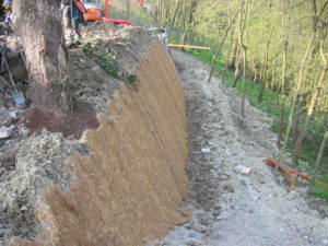 realizzare un muro verde: stuoia vegetale copertura