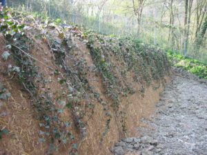 realizzare un muro verde: stuoia vegetale riverdimento
