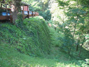 realizzare un muro verde: stuoia vegetale riverdita