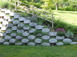 realizzare un muro verde: fiori