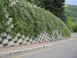 realizzare un muro verde: riverdimento