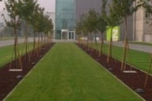 Parcheggio In Proteggiprato