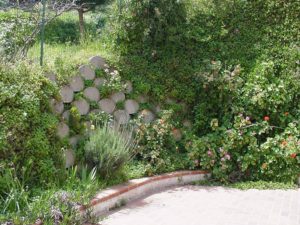 realizzare un muro verde: rinverdimento in curva