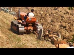 stefano su cingolato